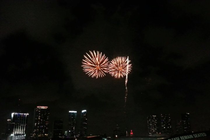 a group of fireworks in the sky